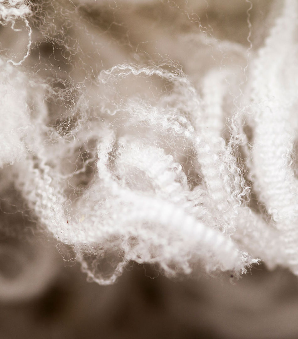 sağlıklı ve sürdürelebilir en iyi alternatif merino yünü detaylı çekim